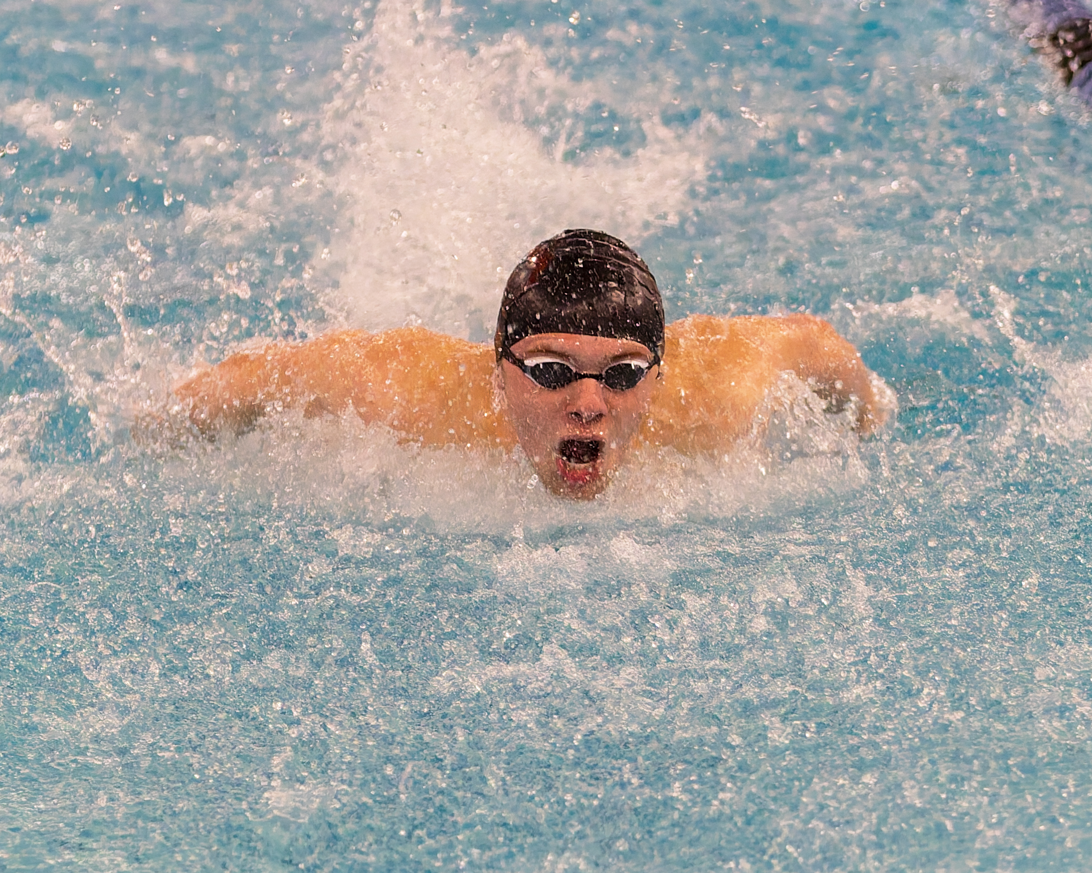 The Oakland County Boys Swim Championships were held Saturday, Feb....