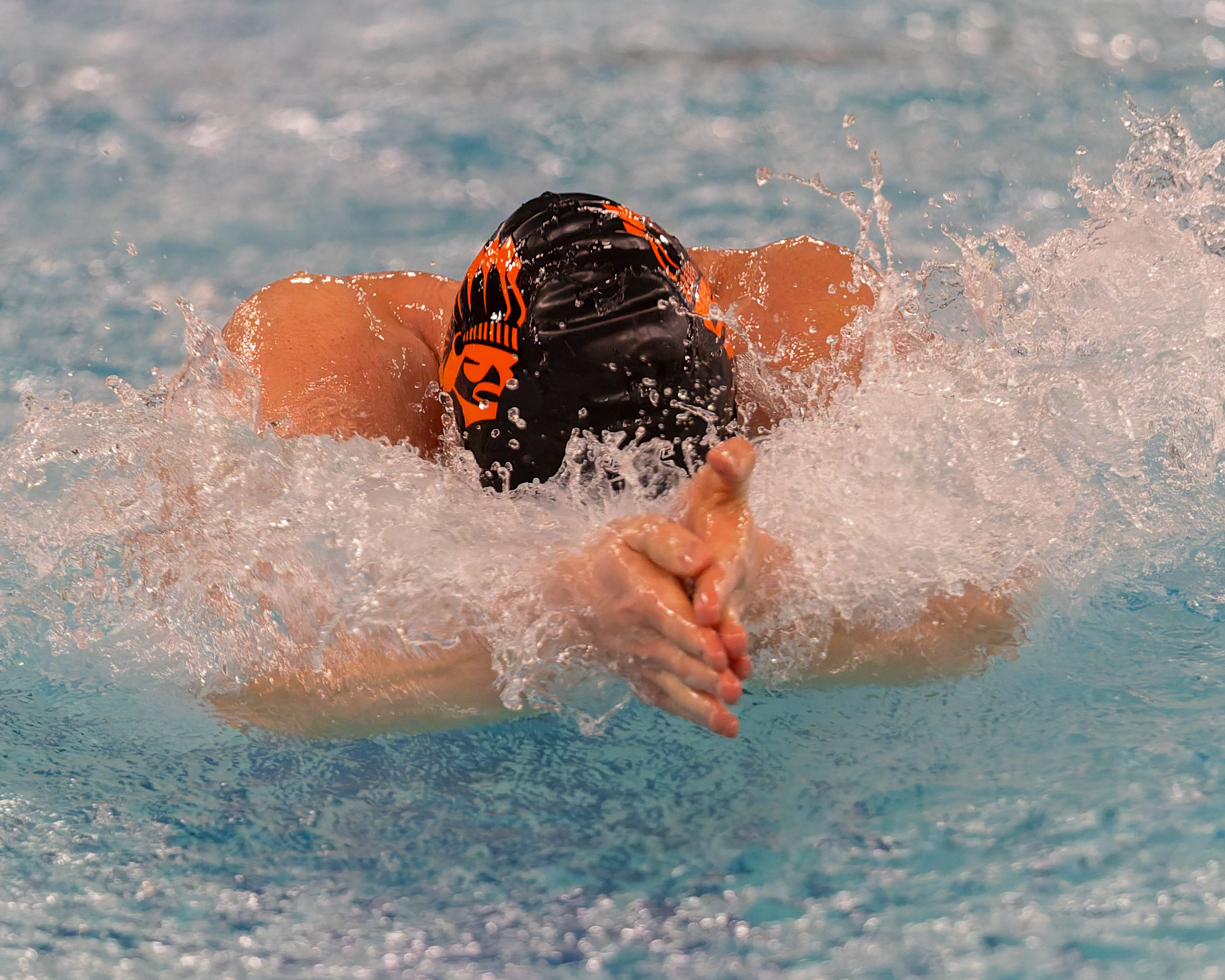The Oakland County Boys Swim Championships were held Saturday, Feb....