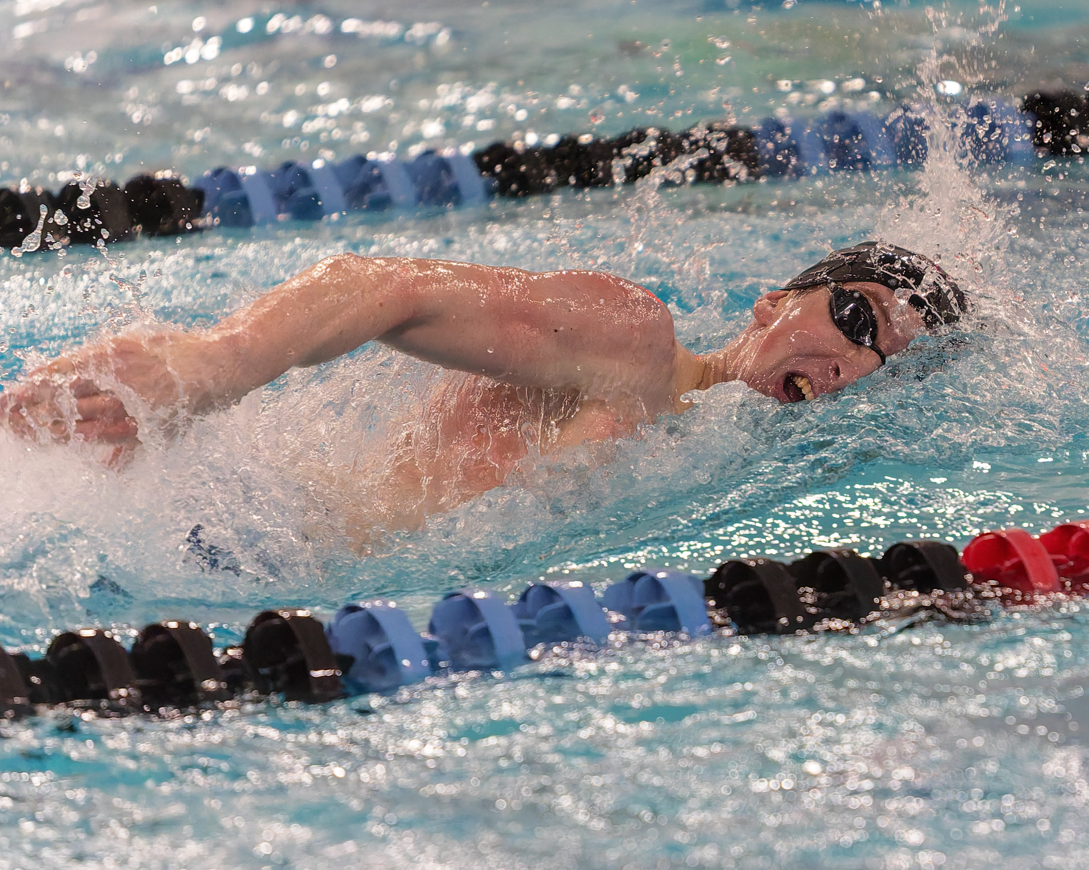 The Oakland County Boys Swim Championships were held Saturday, Feb....