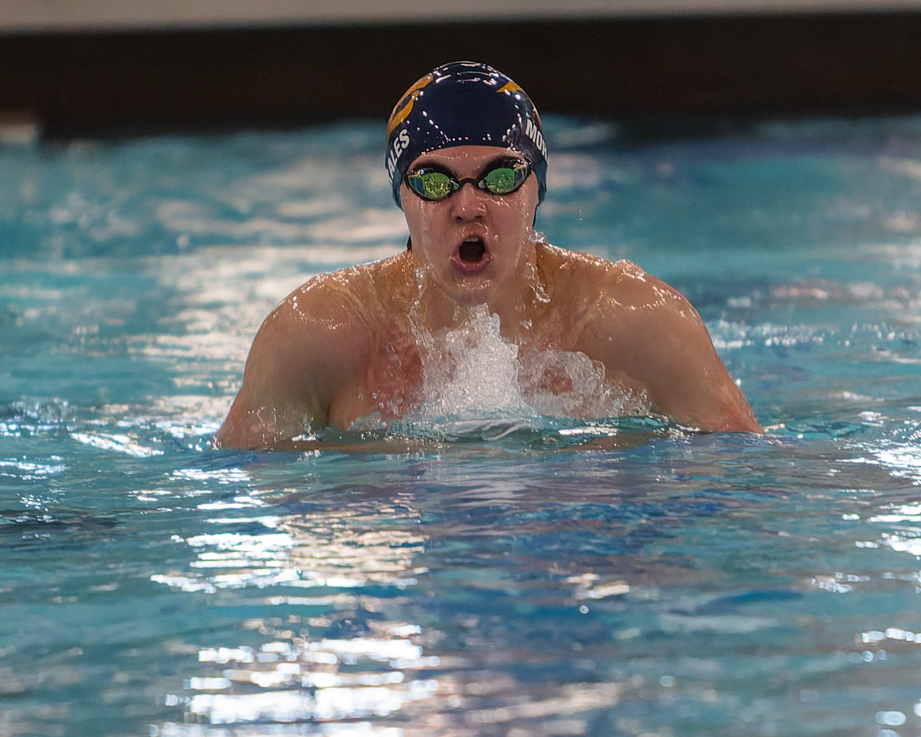 The Oakland County Boys Swim Championships were held Saturday, Feb....
