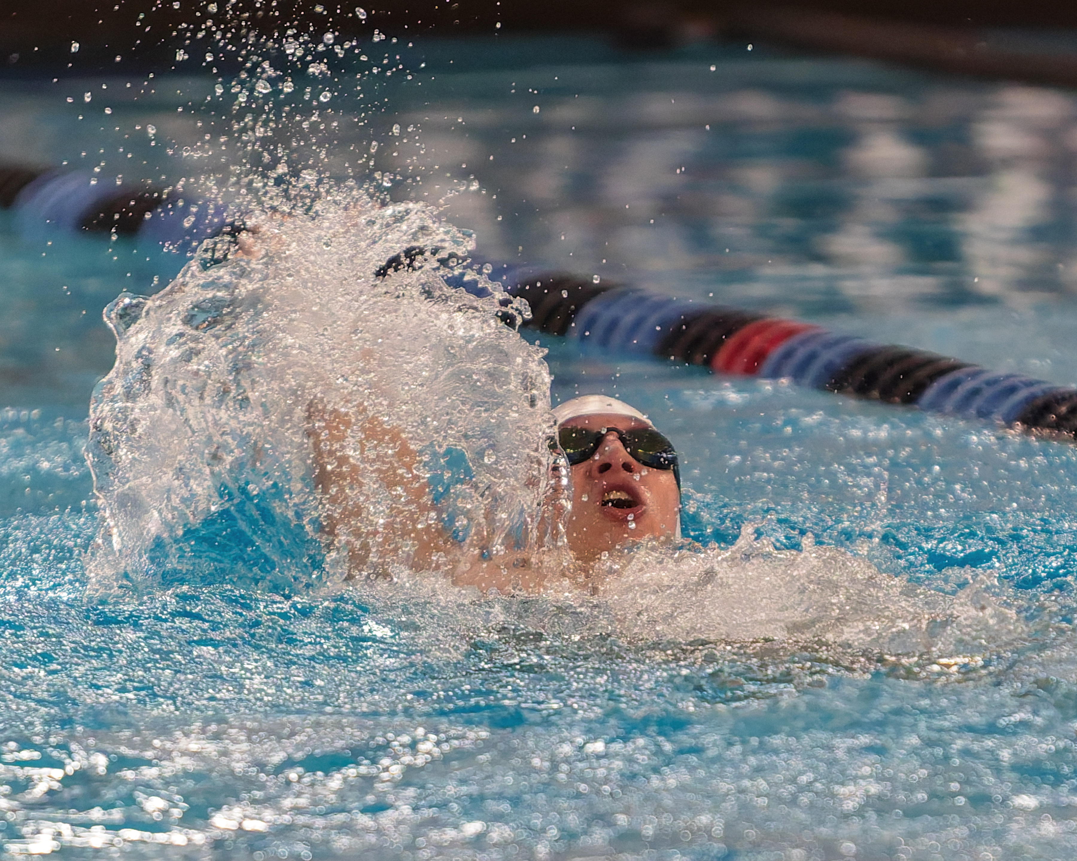 The Oakland County Boys Swim Championships were held Saturday, Feb....