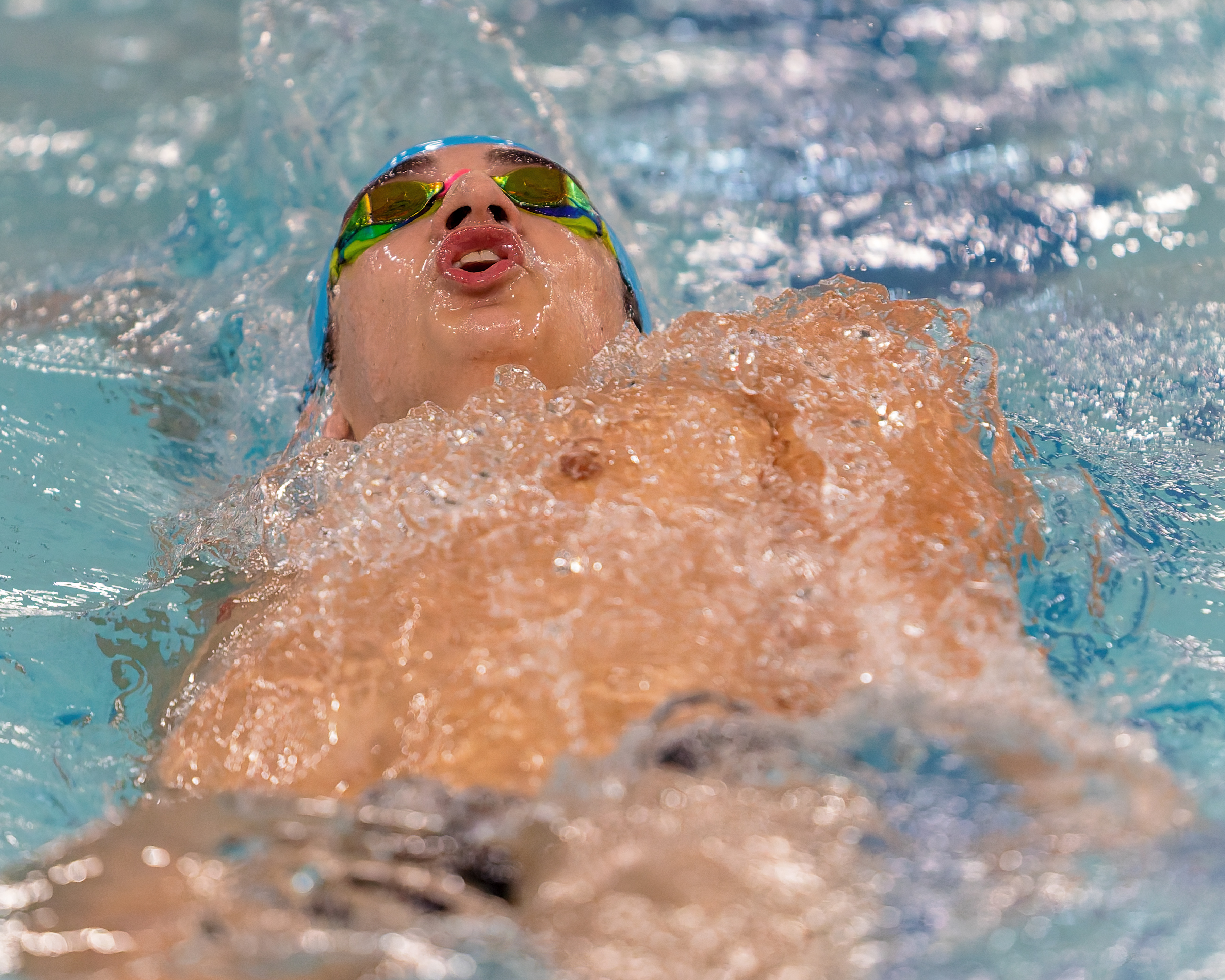 The Oakland County Boys Swim Championships were held Saturday, Feb....