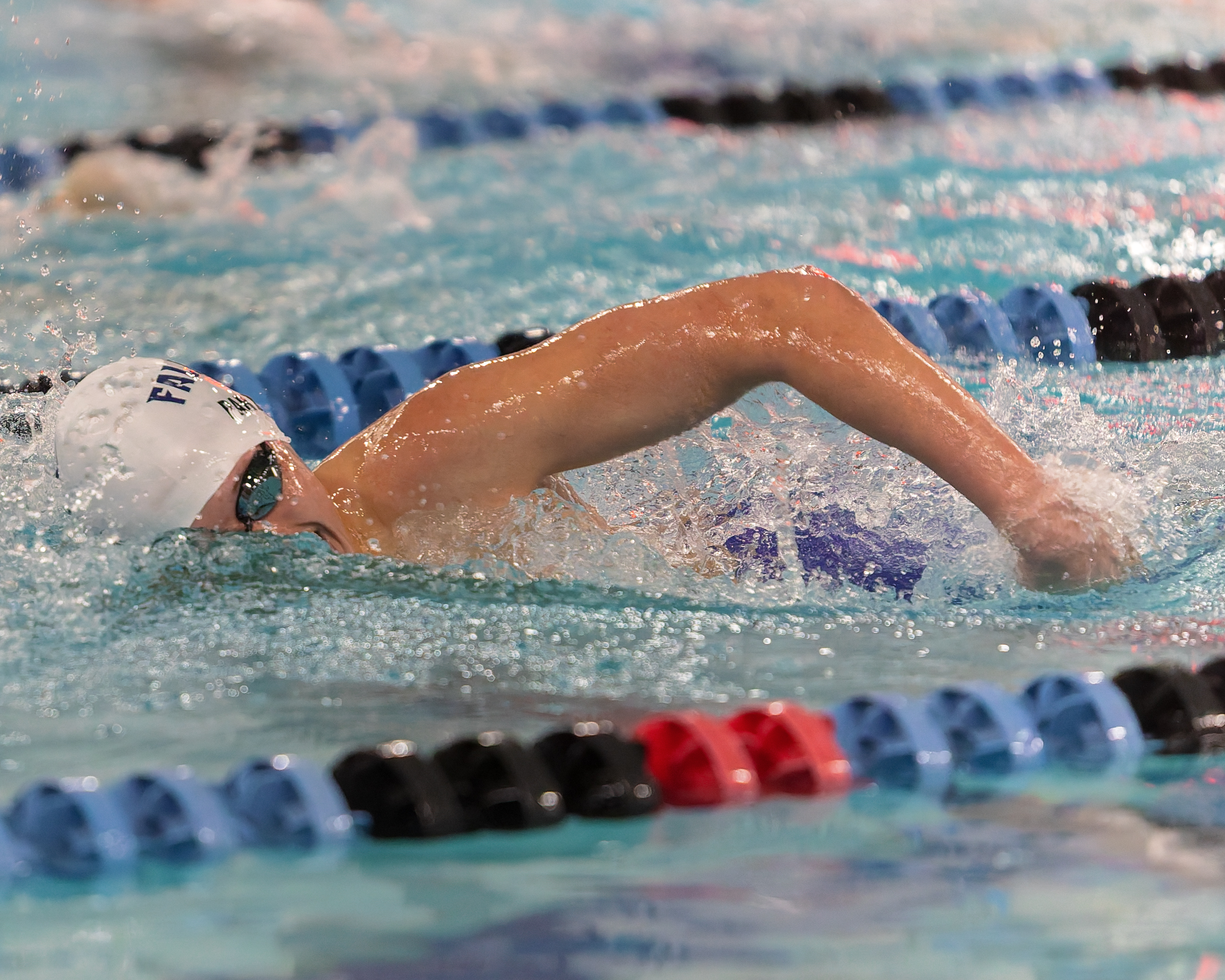 The Oakland County Boys Swim Championships were held Saturday, Feb....