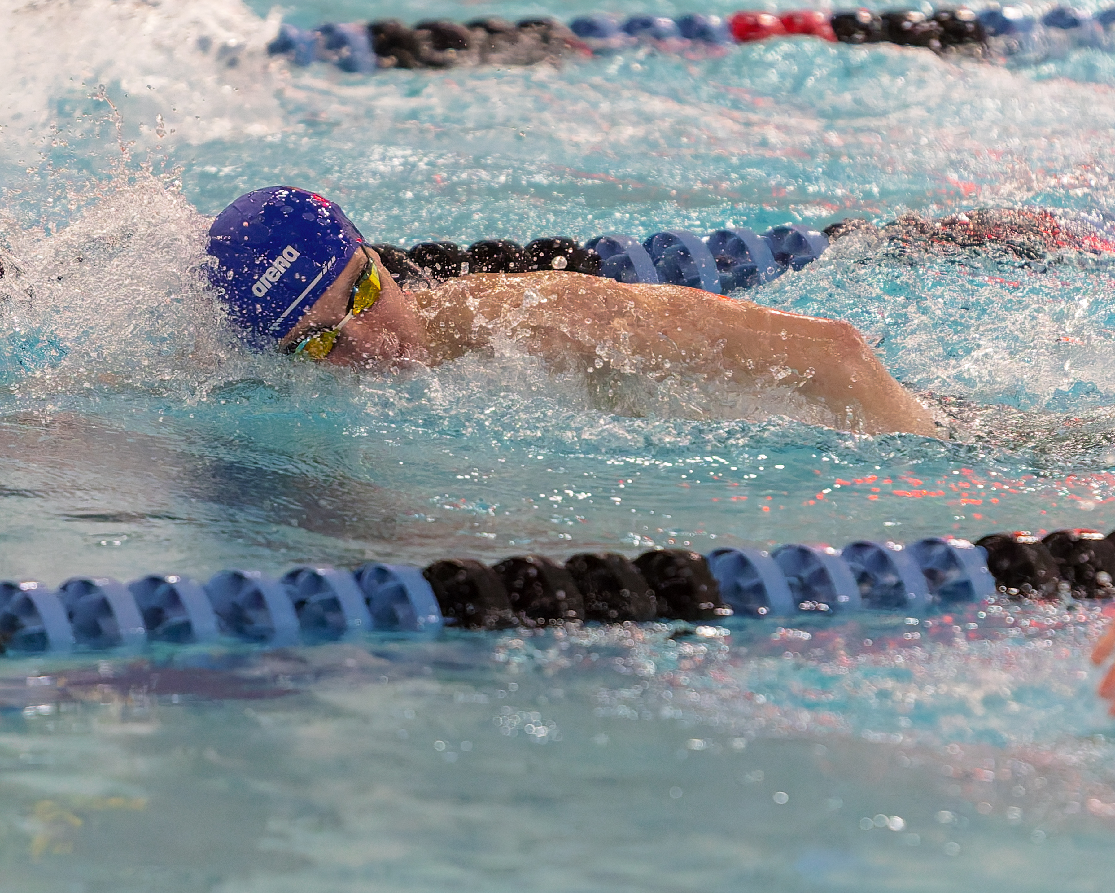The Oakland County Boys Swim Championships were held Saturday, Feb....