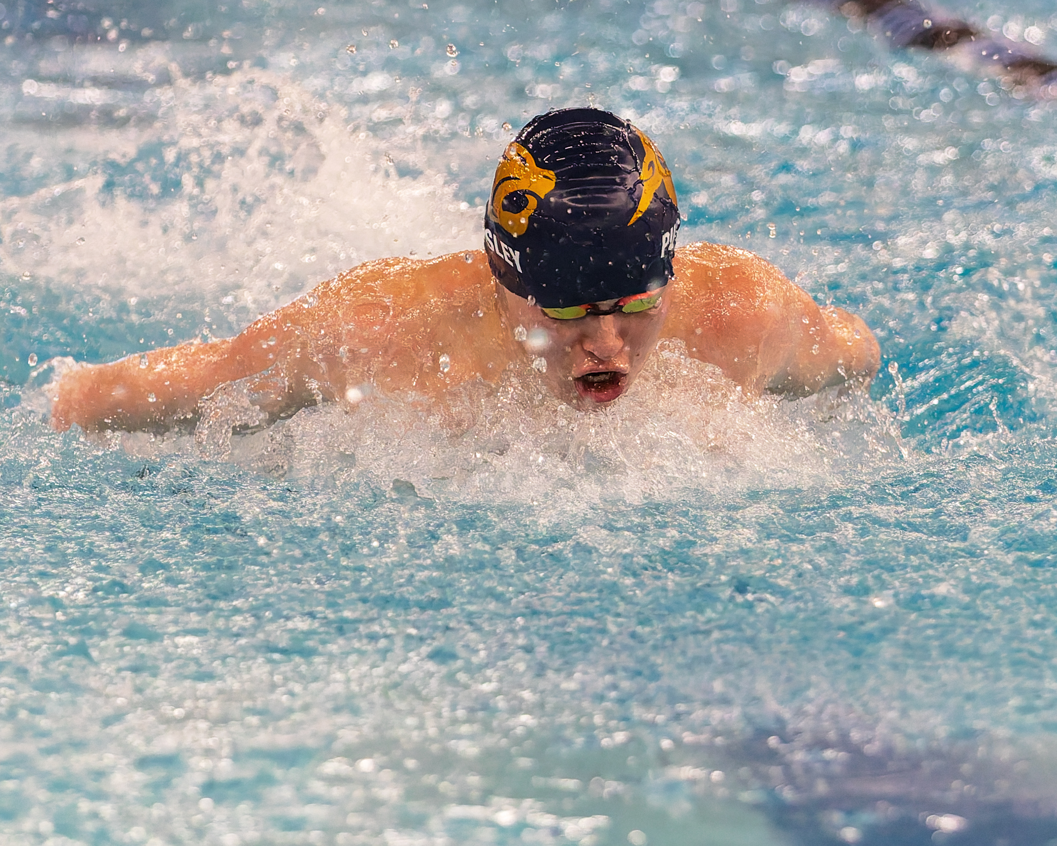 The Oakland County Boys Swim Championships were held Saturday, Feb....