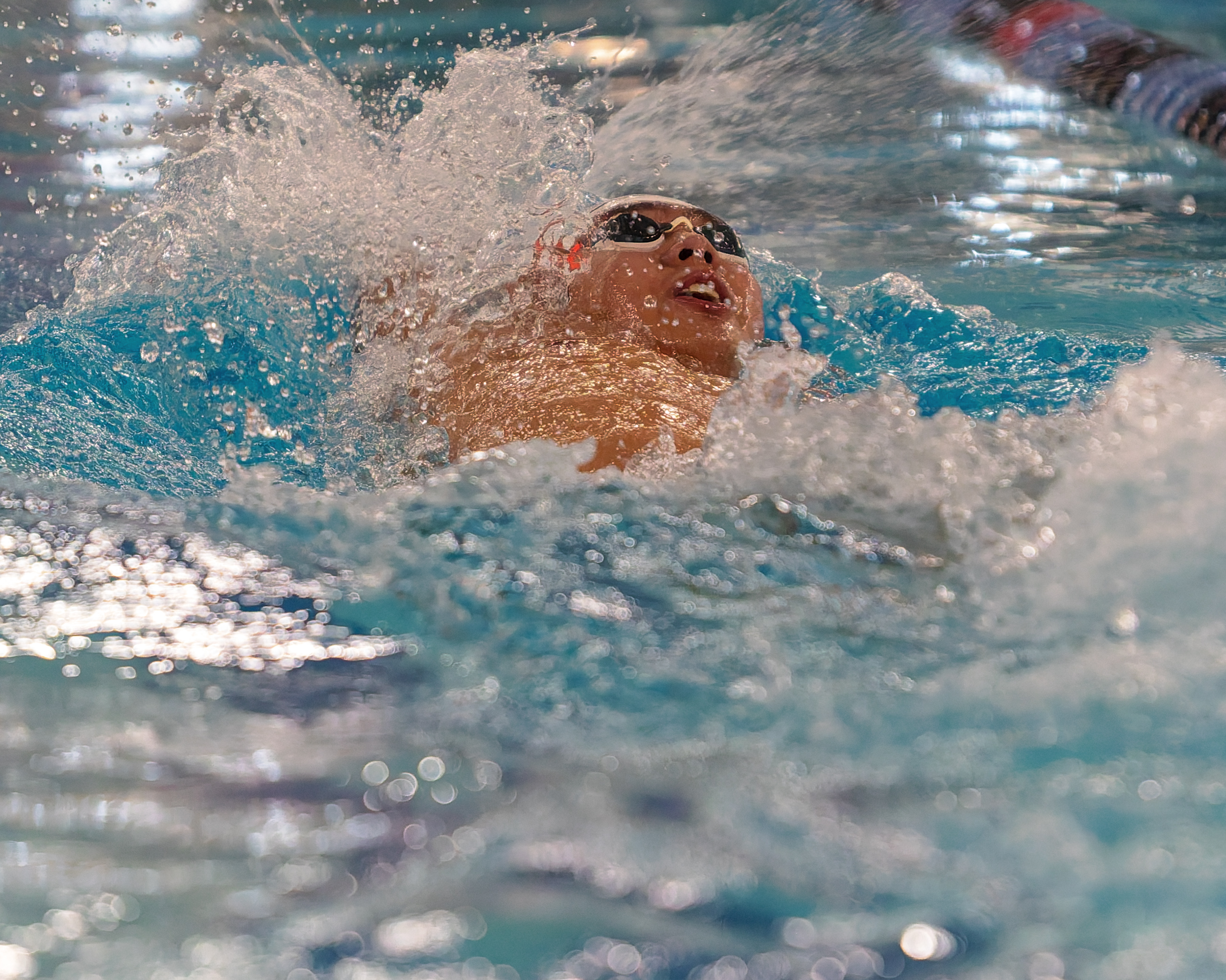 The Oakland County Boys Swim Championships were held Saturday, Feb....