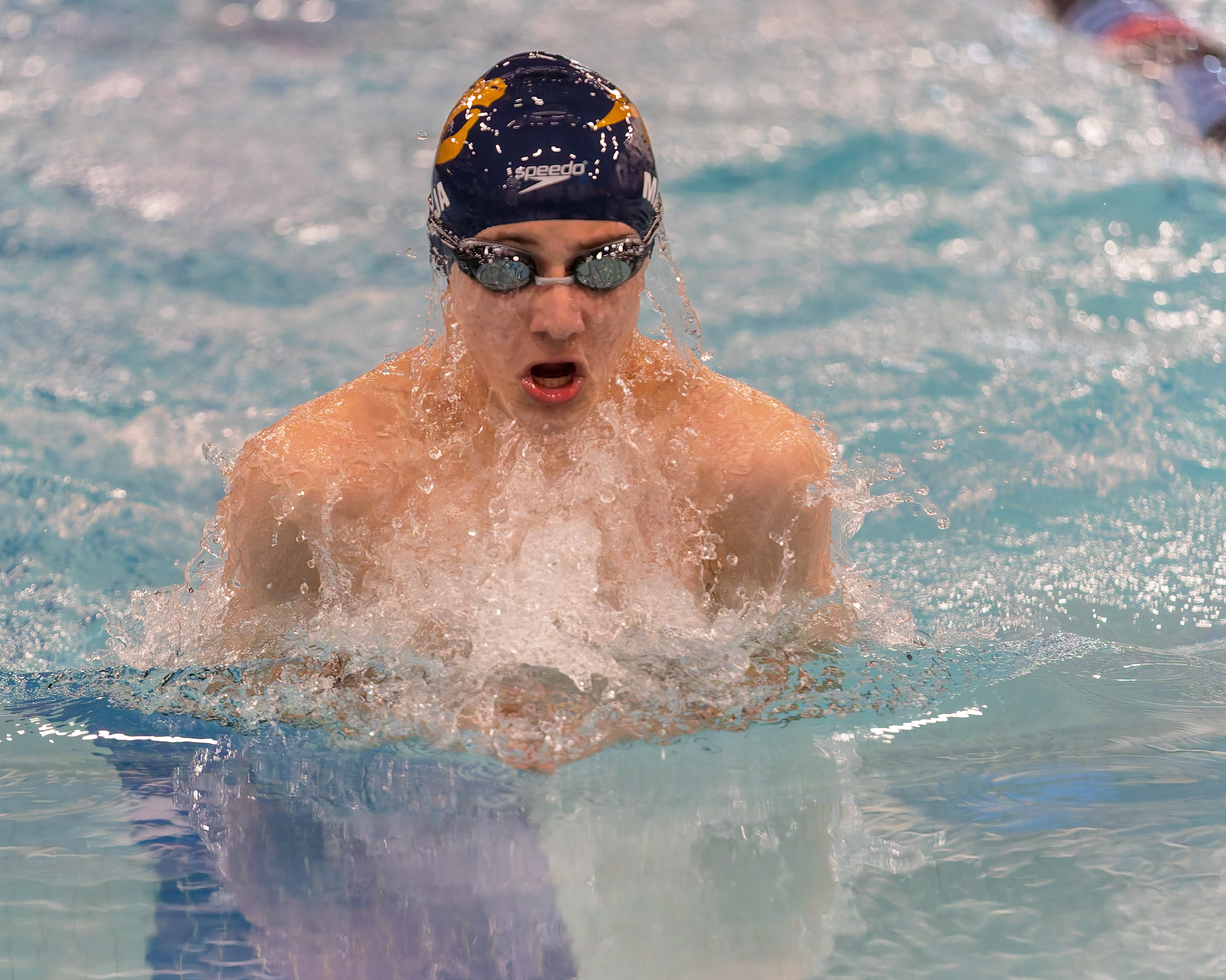 The Oakland County Boys Swim Championships were held Saturday, Feb....