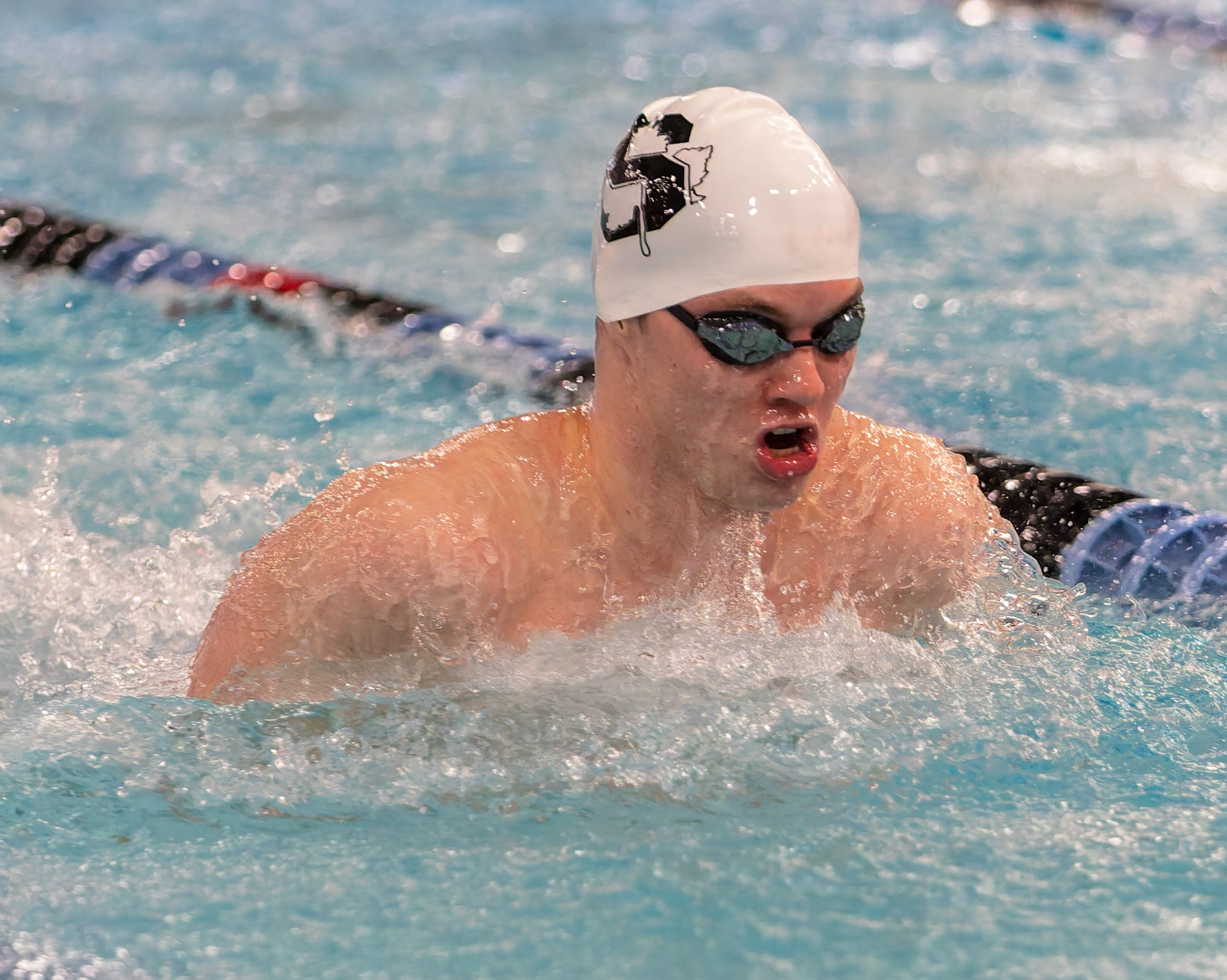 The Oakland County Boys Swim Championships were held Saturday, Feb....