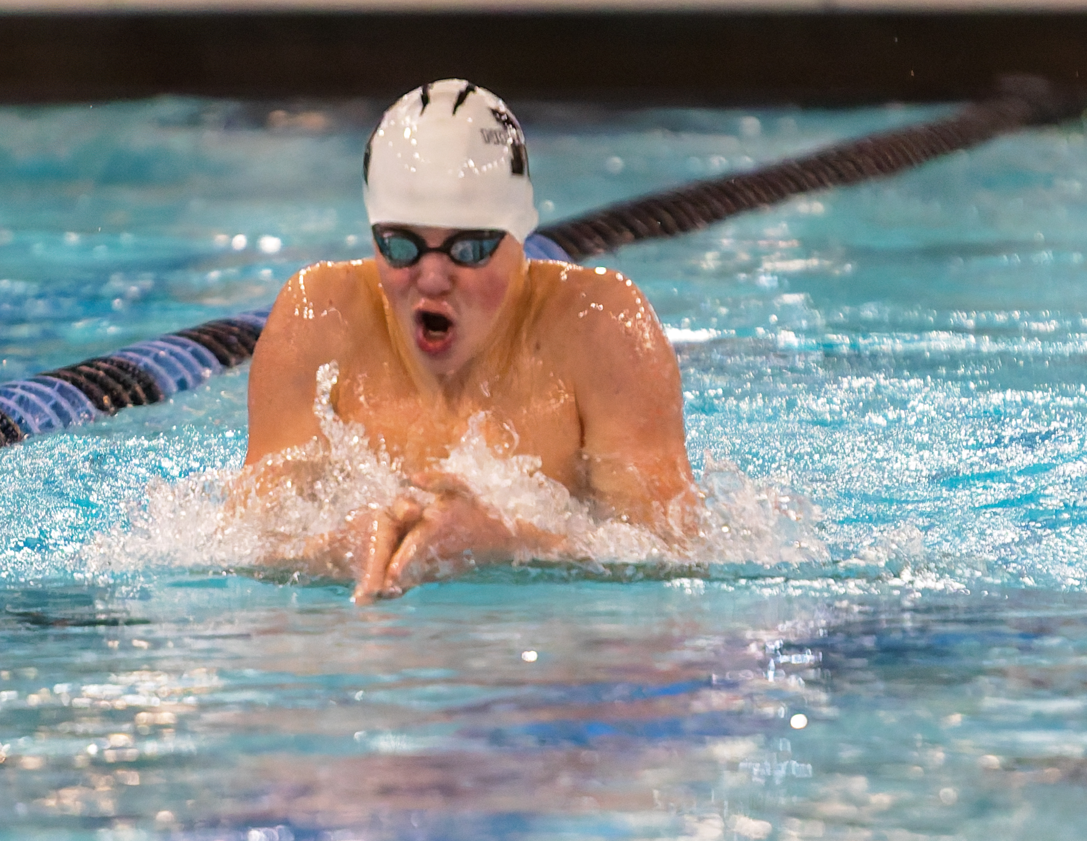 The Oakland County Boys Swim Championships were held Saturday, Feb....