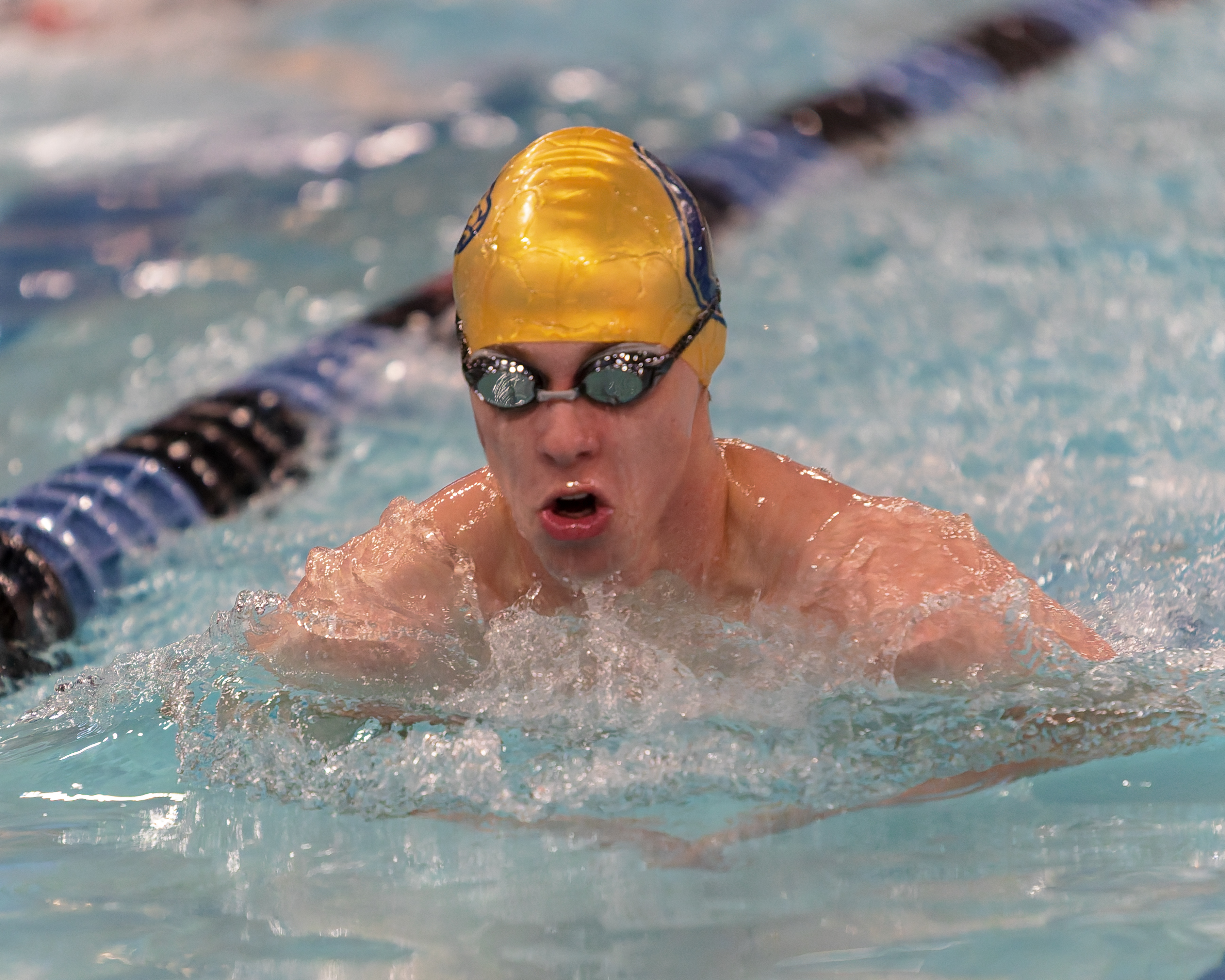 The Oakland County Boys Swim Championships were held Saturday, Feb....
