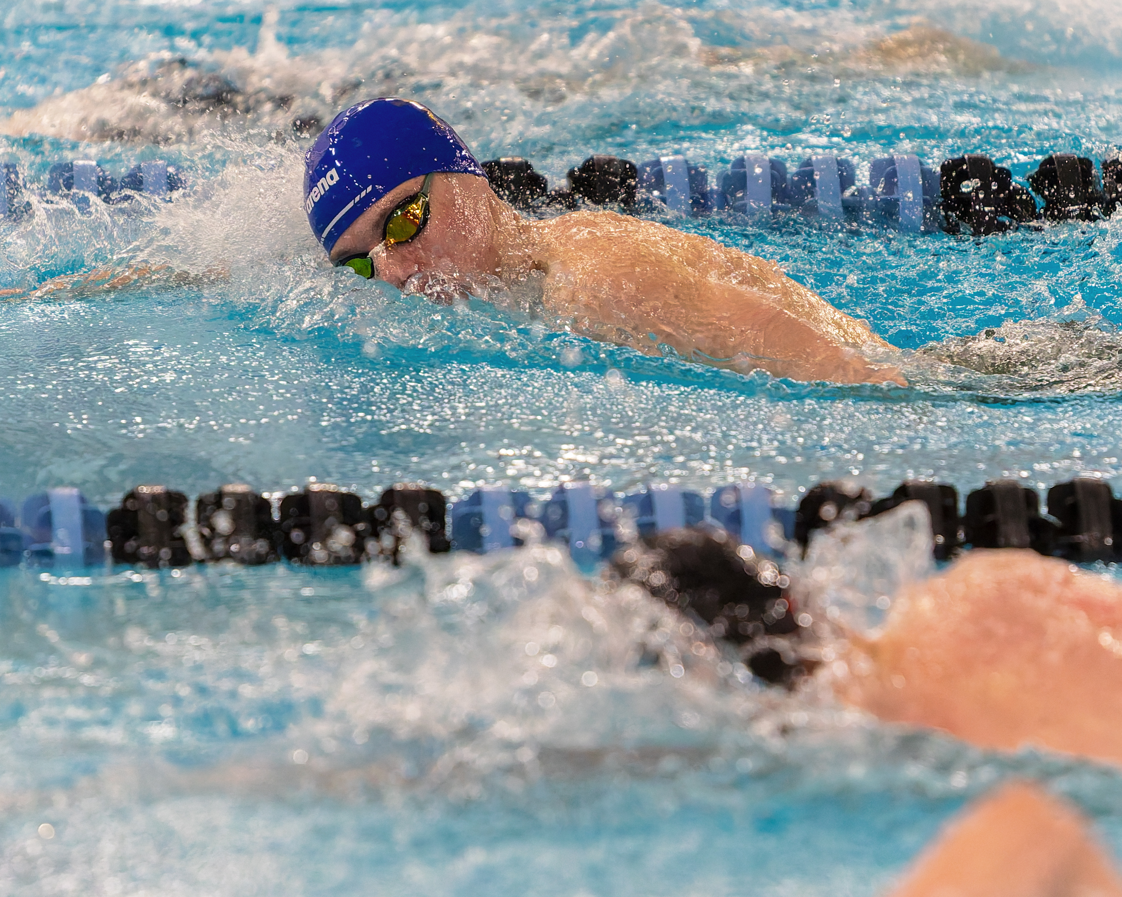 The Oakland County Boys Swim Championships were held Saturday, Feb....