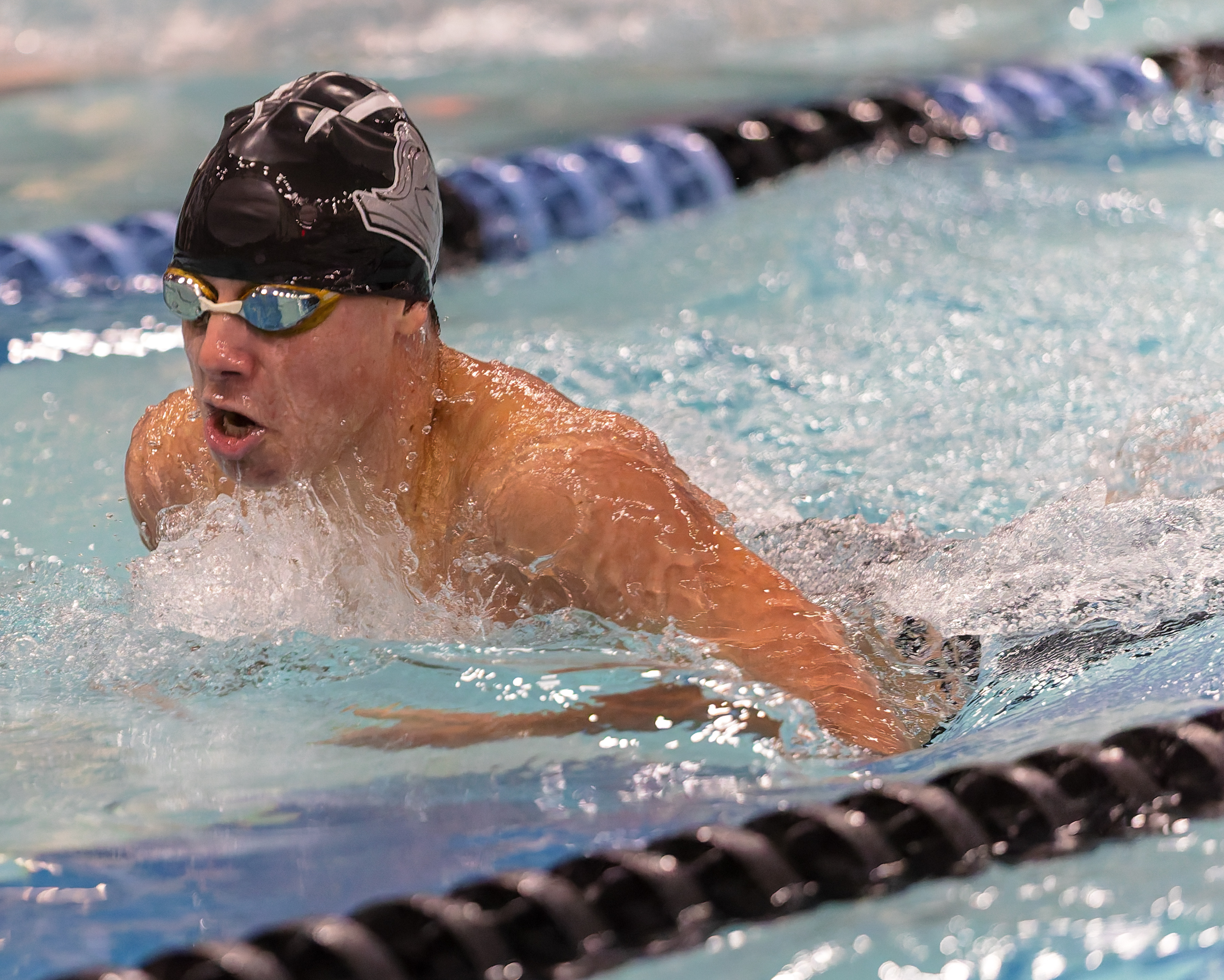 The Oakland County Boys Swim Championships were held Saturday, Feb....