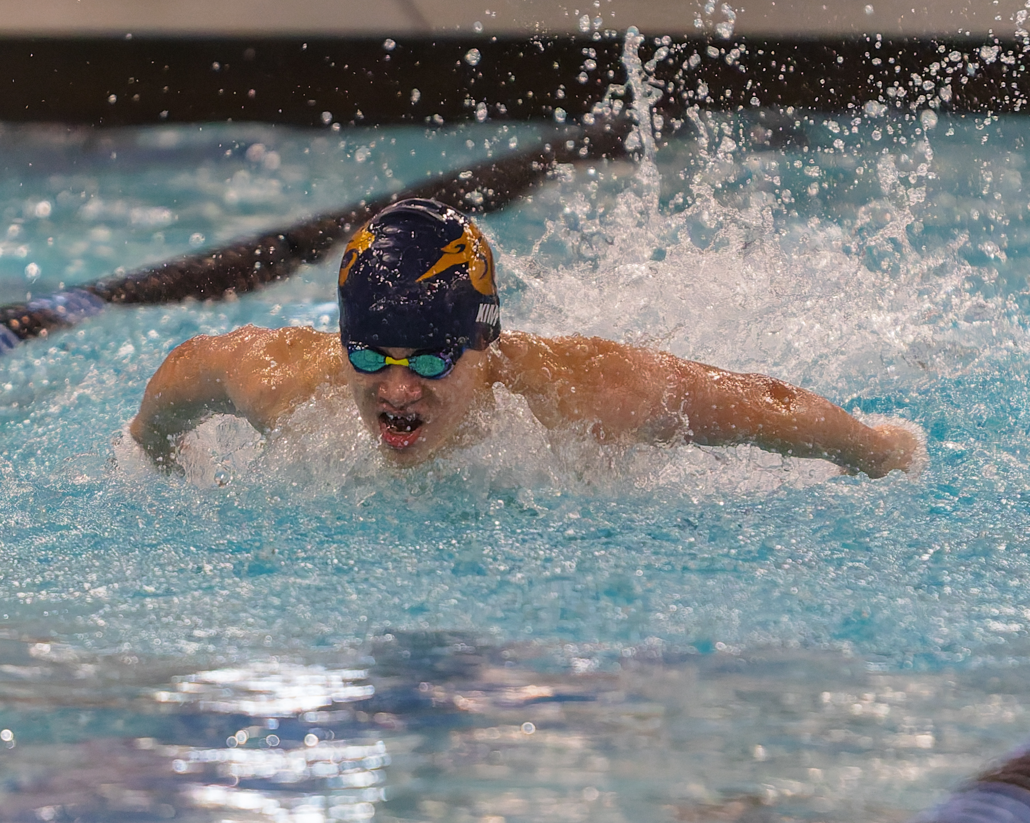 The Oakland County Boys Swim Championships were held Saturday, Feb....