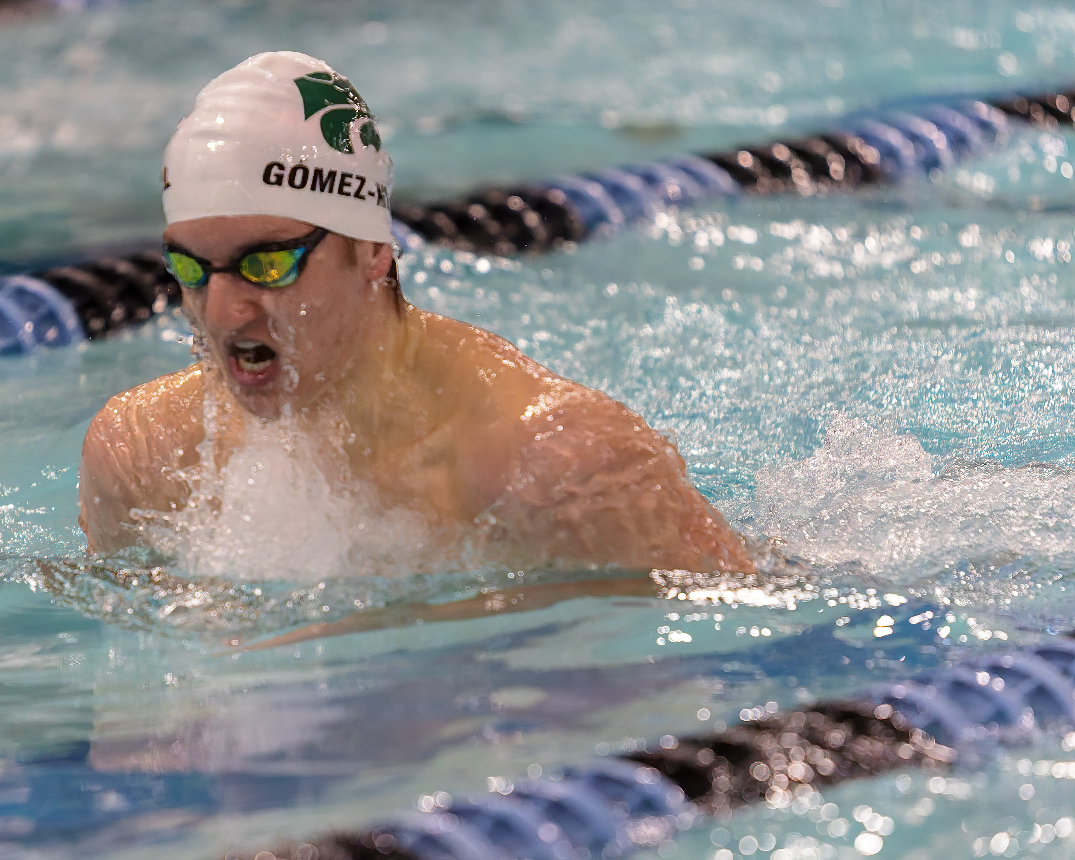 The Oakland County Boys Swim Championships were held Saturday, Feb....