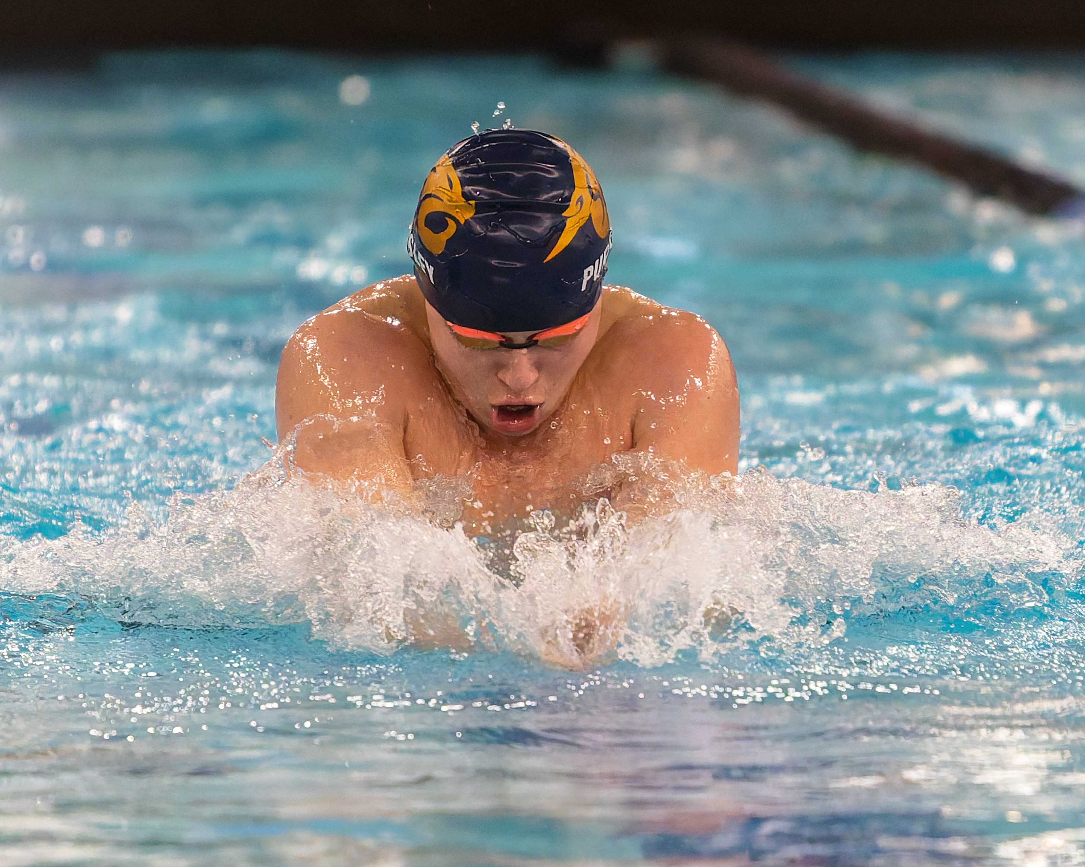 The Oakland County Boys Swim Championships were held Saturday, Feb....
