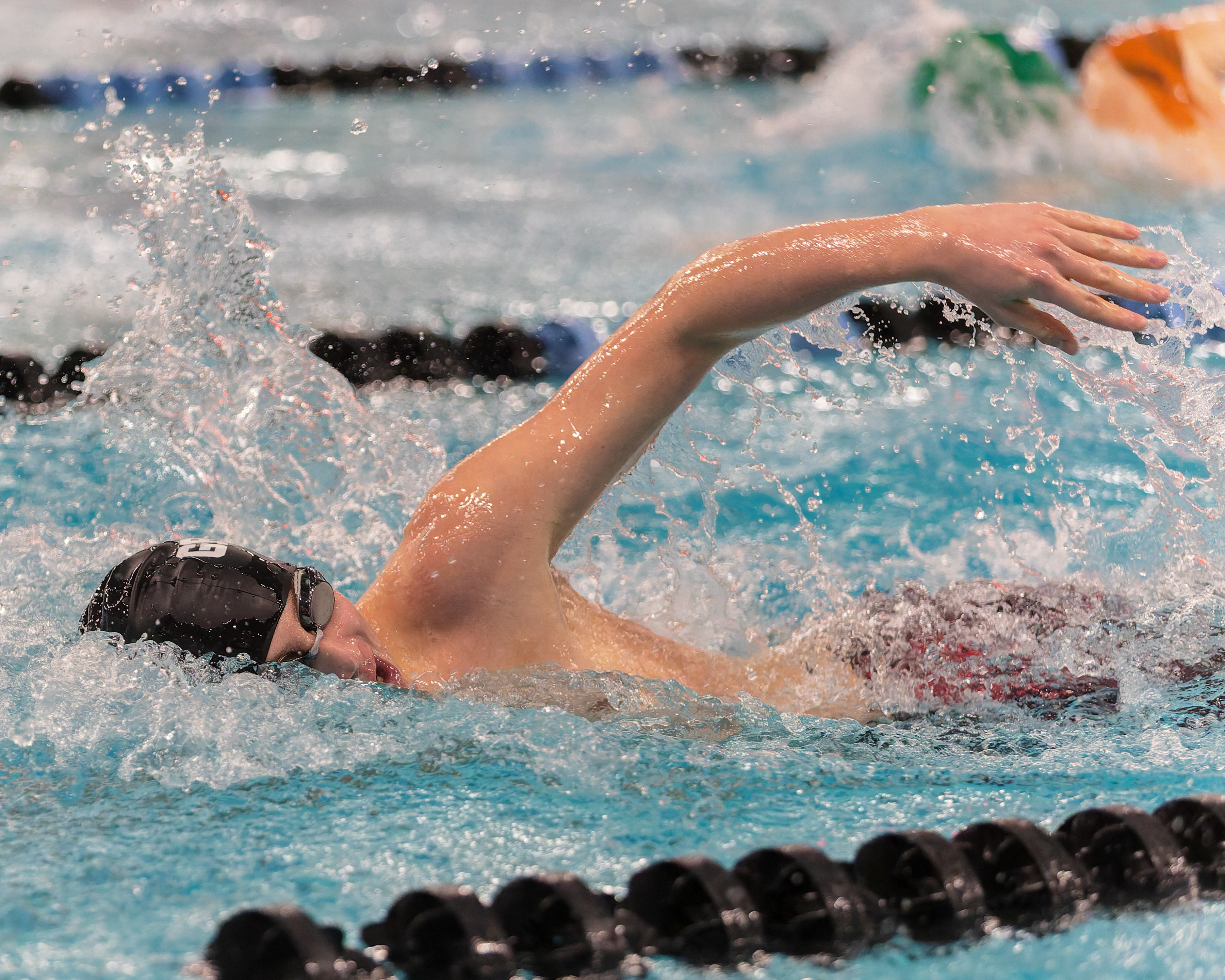 The Oakland County Boys Swim Championships were held Saturday, Feb....