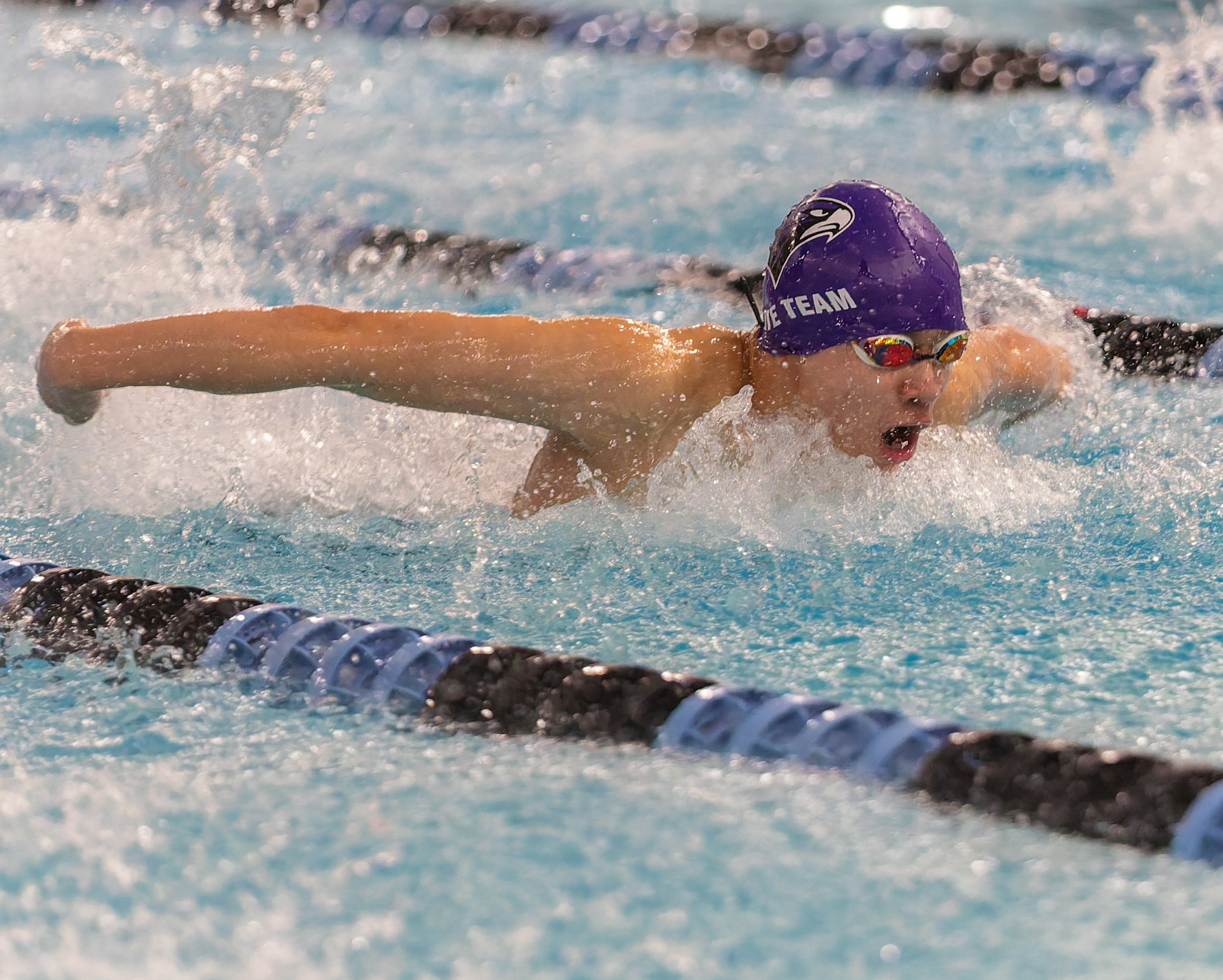 The Oakland County Boys Swim Championships were held Saturday, Feb....