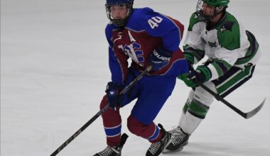 Lakes Area United enters playoff on a roll with 3-1 victory over Whitecaps – The Oakland Press