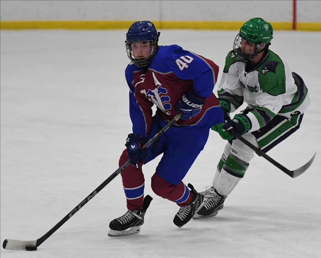 Lakes Area United enters playoff on a roll with 3-1 victory over Whitecaps – The Oakland Press