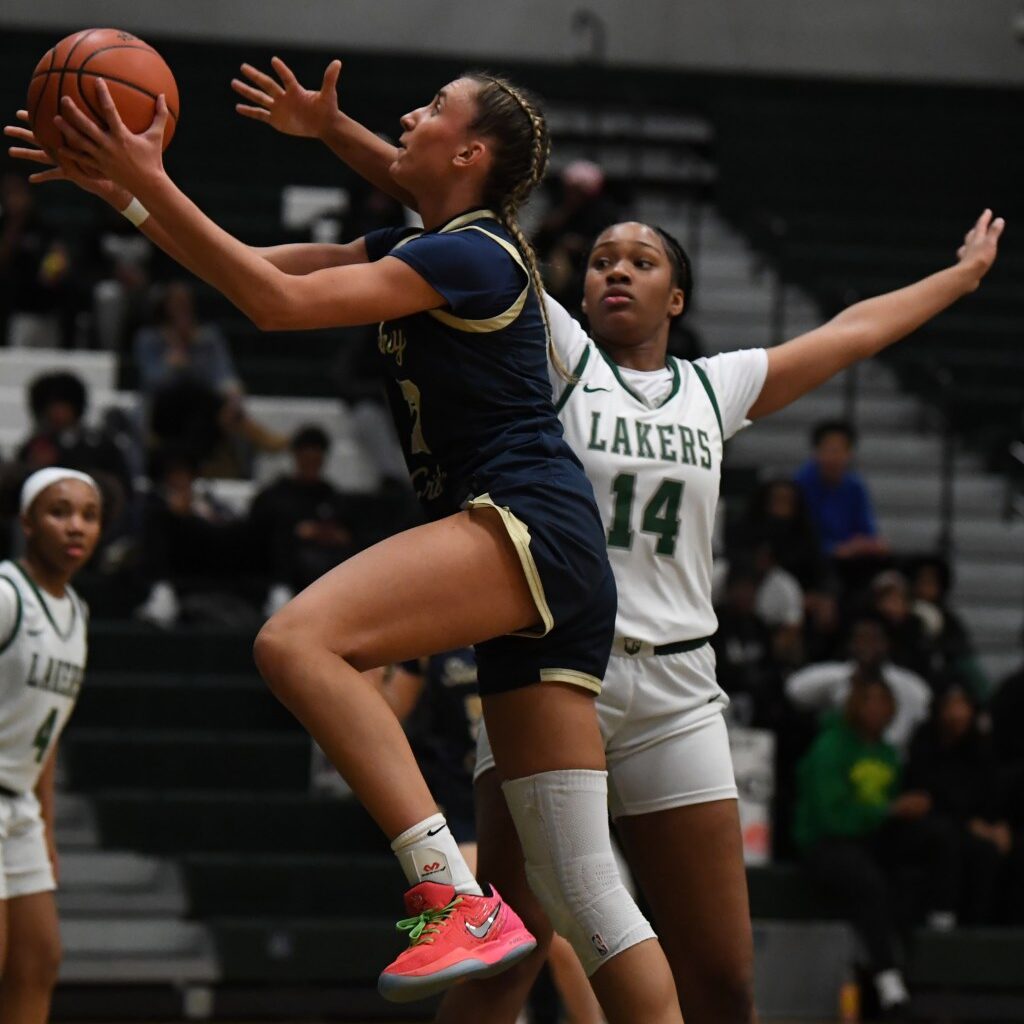 Cougars put turmoil aside, edge West Bloomfield to claim share of OAA Red title – The Oakland Press