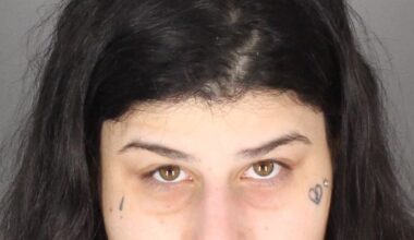 Macomb woman accused of soliciting, blackmailing men via adult websites – The Oakland Press