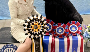 Oakland County Kennel Club, Inc. – Sunday, February 8, 2026