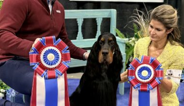 Oakland County Kennel Club, Inc. – Friday, February 6, 2026
