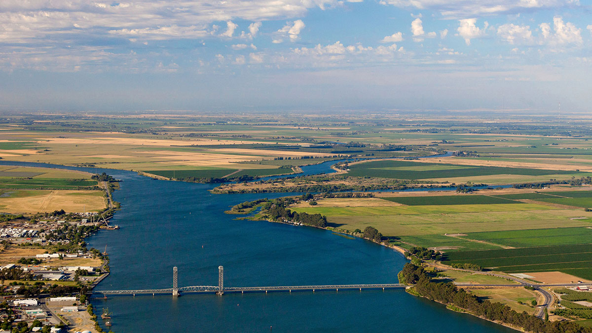 A New City of Dreams?