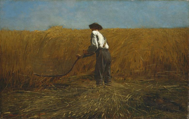 A man stands in a field of wheat at harvest, wielding a scythe