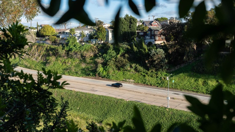 A canyon as seen through some greenery that overlooks a broad road beneath homes.