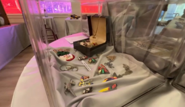 Oakland ‘Trash Falcons’ turn Lake Merritt’s litter into art – NBC Bay Area