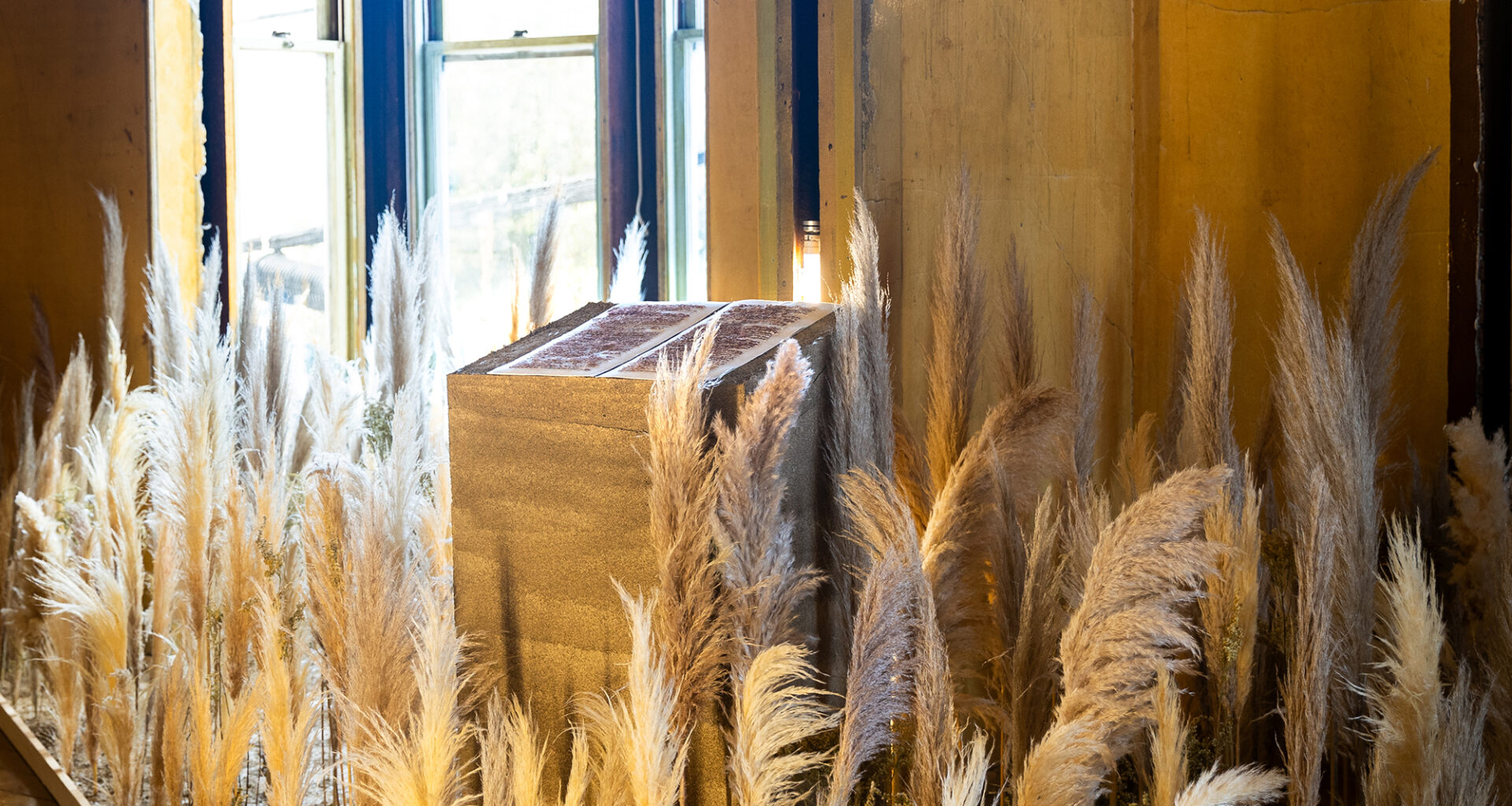 A pedestal holding a burnt-red colored book is surrounded by dry foliage of similar height inside a room with yellowish walls