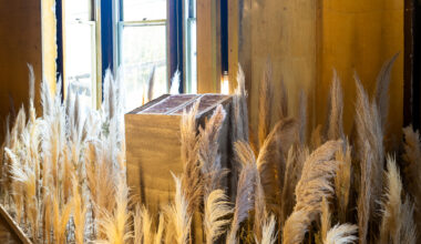 A pedestal holding a burnt-red colored book is surrounded by dry foliage of similar height inside a room with yellowish walls