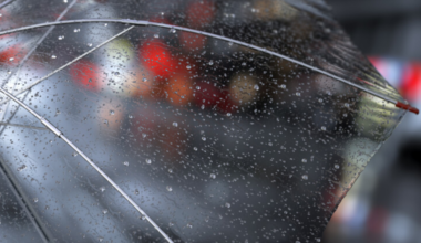 Umbrella in the rain