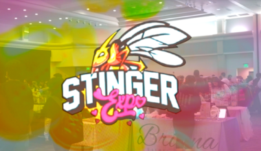 Stinger Expo turning dreams into realities – The State Hornet
