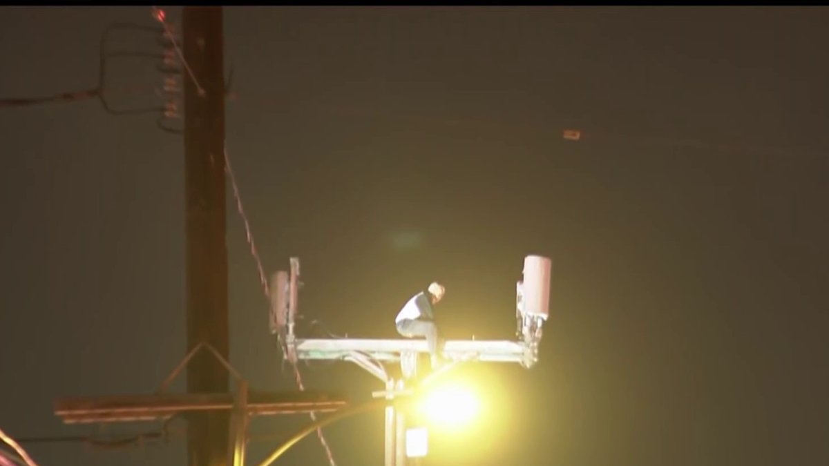 Man refuses to come down from utility pole in Echo Park – NBC Los Angeles
