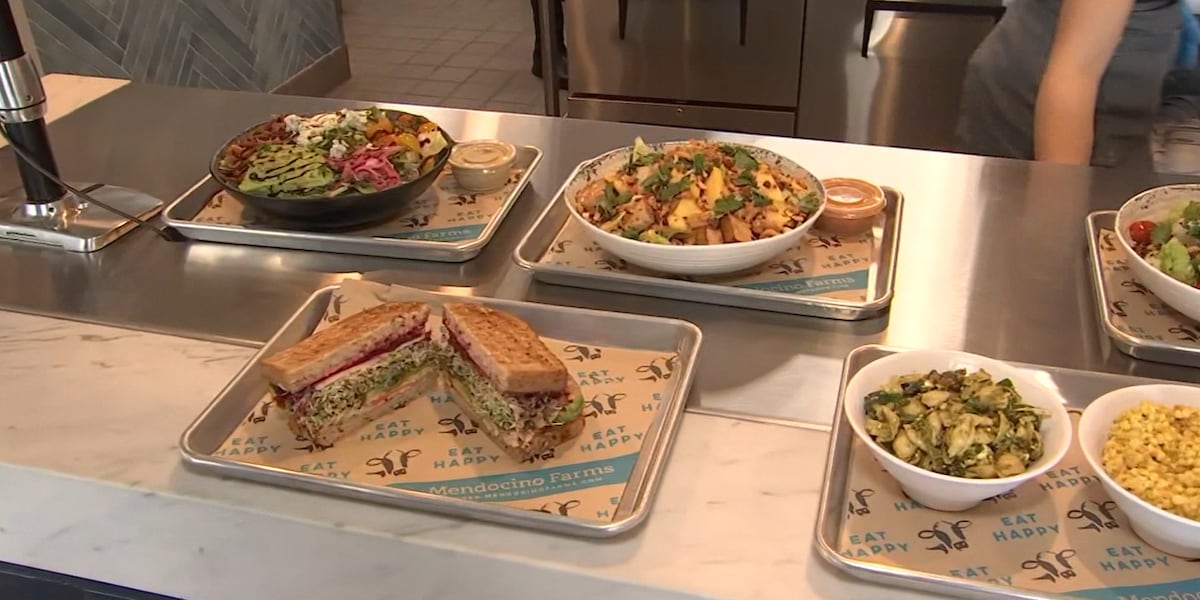 California-based Mendocino Farms opens first location in Arizona