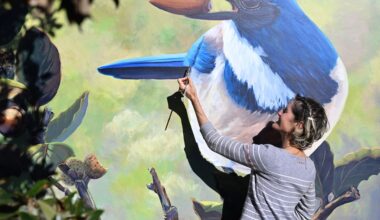 In anticipation of the new Whole Foods, artist reflects on her latest mural | Los Gatan