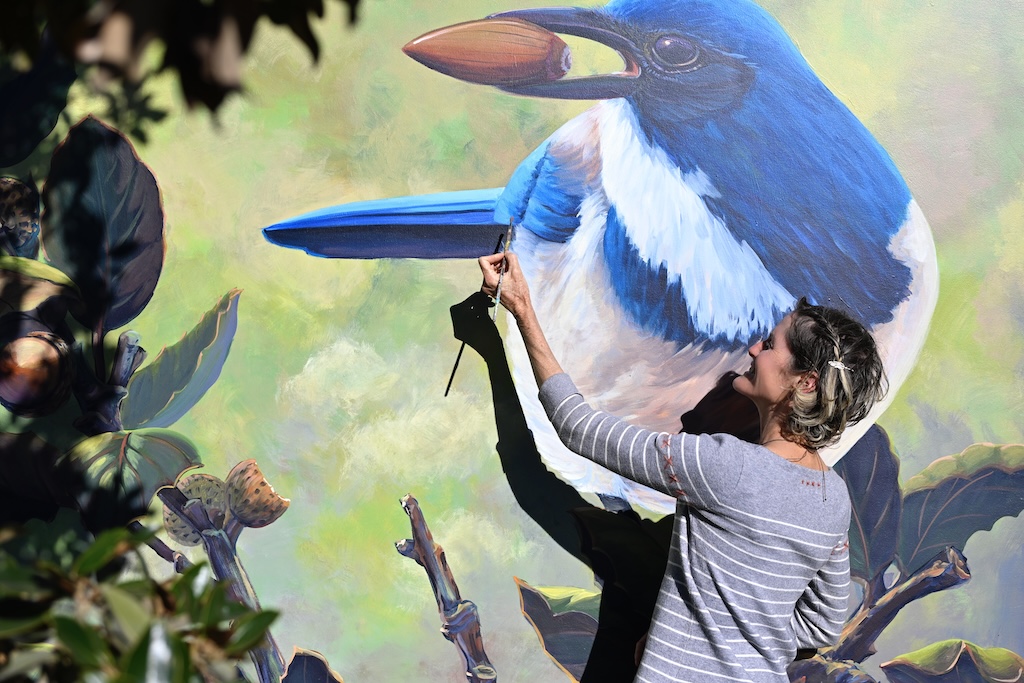 In anticipation of the new Whole Foods, artist reflects on her latest mural | Los Gatan