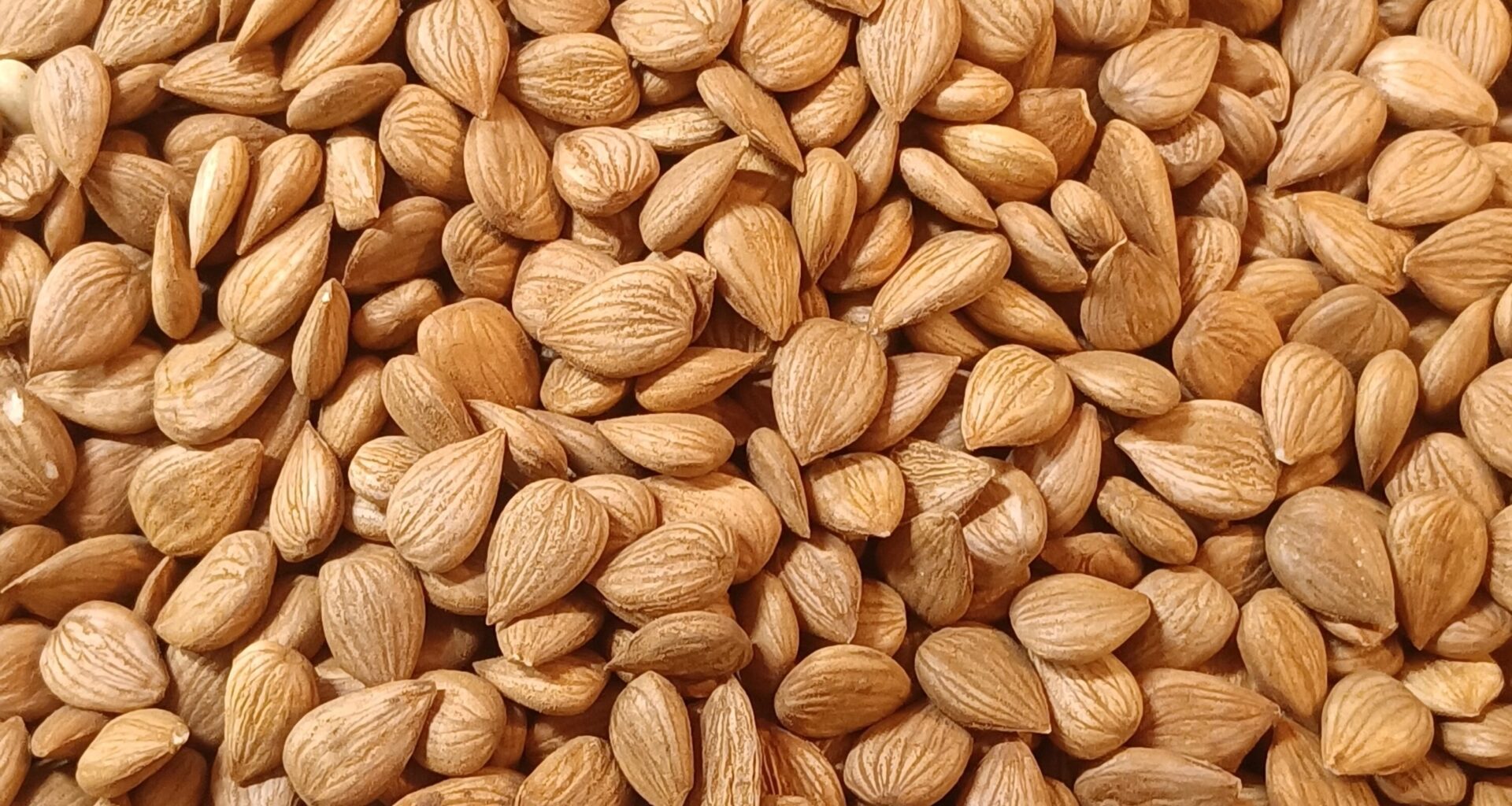 Cracking open 'National Almond Day' — 10 surprising facts