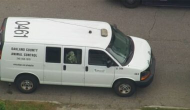 Oakland County woman sentenced for felony animal neglect after dozens of pets rescued