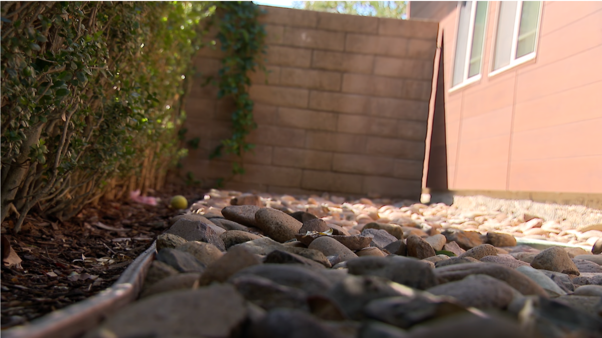 City of San Diego will implement state-mandated Zone Zero fire clearance – NBC 7 San Diego