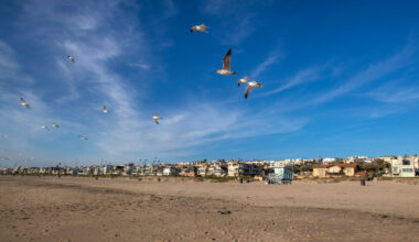 LA Beaches Studied for Possible National Park Designation