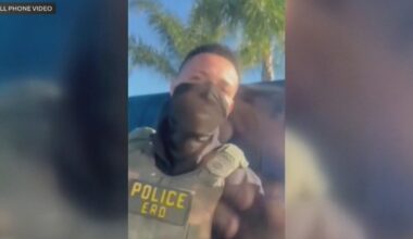 Video shows federal agents surrounding Los Angeles family's car