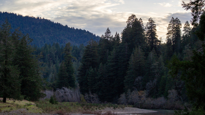 Cloudy skies above the Eel River and the redwood forests of Richardson Grove State Park, California