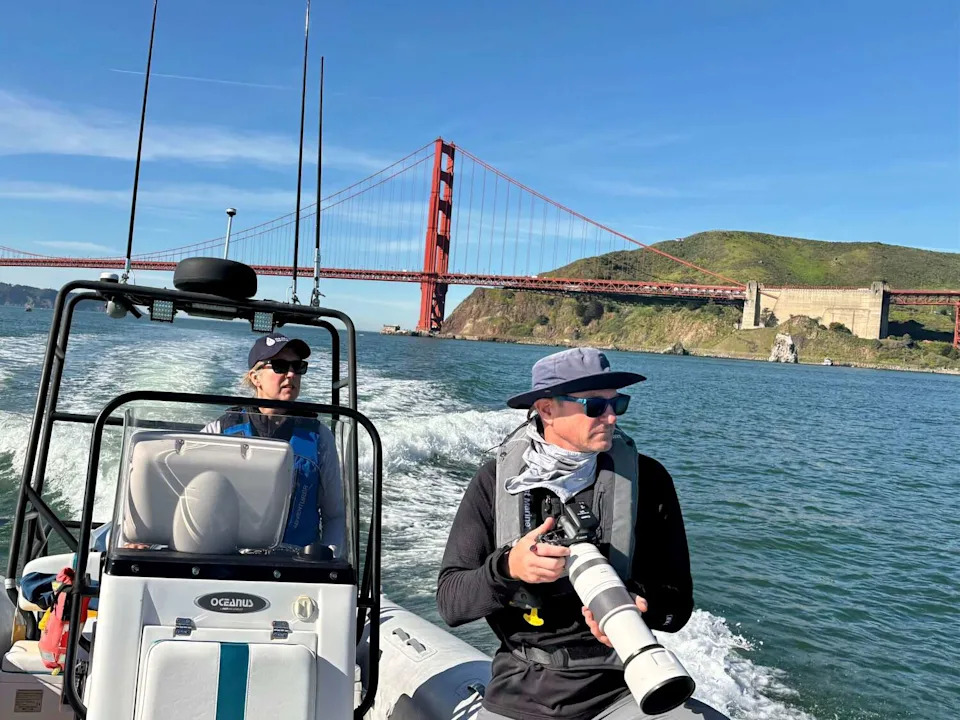 From left, Kathi George, the director of cetacean conservation biology at the Marine Mammal Center, and research volunteer Darrin Allen search for gray whales in San Francisco Bay during a vessel survey on March 25, 2025. (Photo Giancarlo Rulli © The Marine Mammal Center)