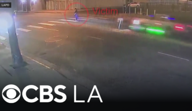 Police searching for hit-and-run driver after South LA crash kills pedestrian