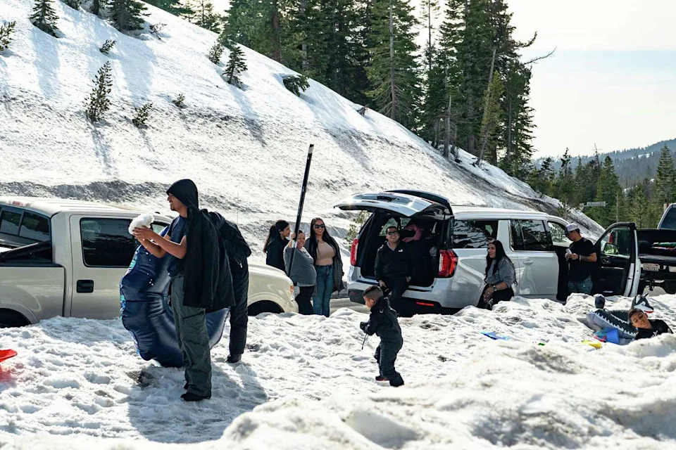 Vehicles line the shoulder along Highway 4 in January near Bear Valley as visitors play on a roadside slope near Lake Alpine and Round Valley Sno-Parks. (Louis Bryant III/For the S.F. Chronicle)
