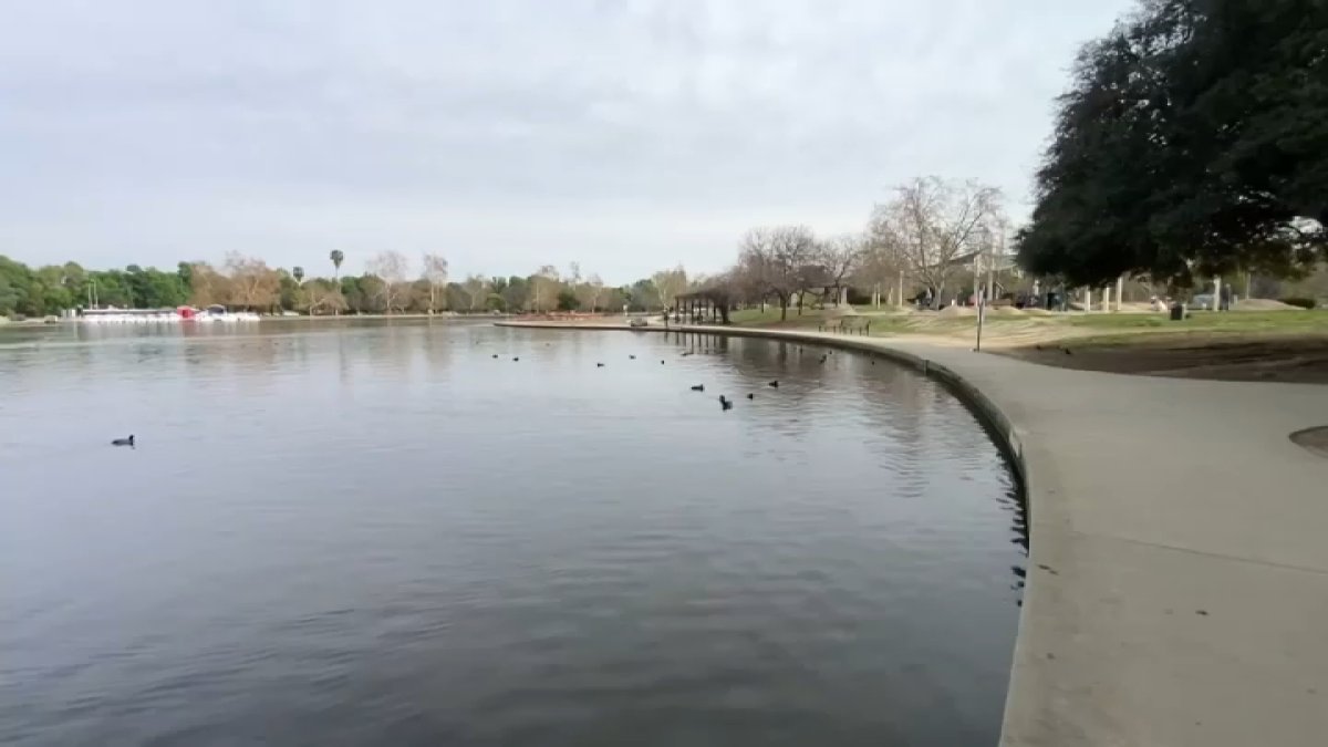 San Fernando Valley to host LA28 matches for the first time – NBC Los Angeles