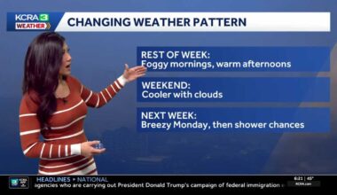 Dense Thursday fog before sunny afternoon